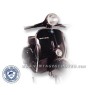 Contour De Tablier Chromé Vespa 125 type N / GT  GTR / Sprint  /TS