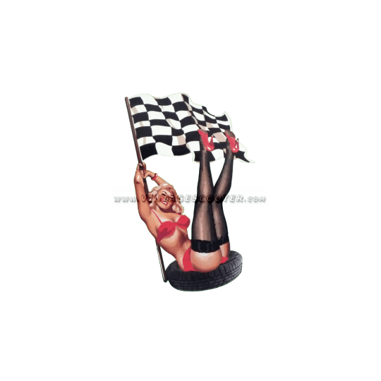 Pin-Up Flag