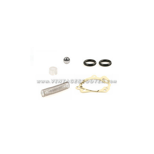 Service Kit Oil Pump Vespa  Rally/TS/PX/T5/COSA with separate lubrication