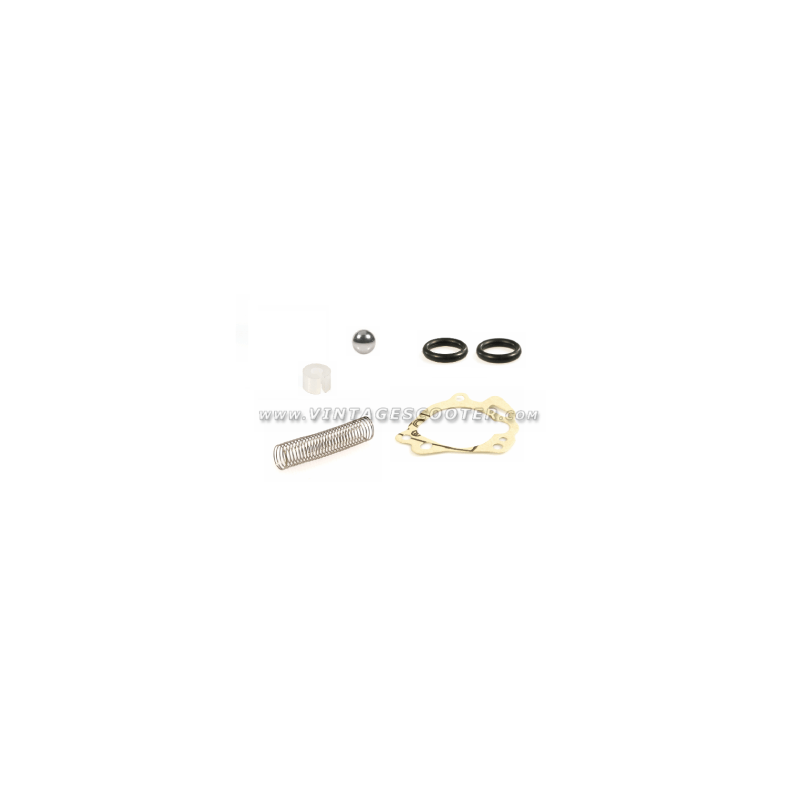 Service Kit Oil Pump Vespa  Rally/TS/PX/T5/COSA with separate lubrication